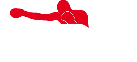 MBC Muay Thai Boxing Council Ludwigsburg